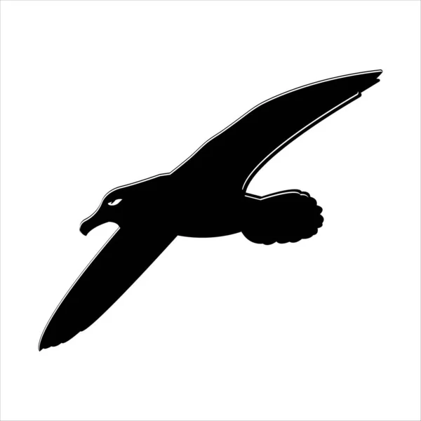 Albatross Vector Design Modern Illustration Template Web — Διανυσματικό Αρχείο