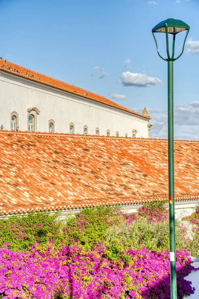 Elvas Portugal June 2022 Historical Center Sunny Weather — стоковое фото