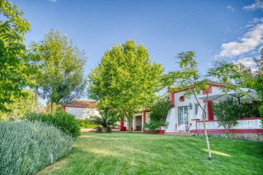 Countryside in Alentejo region, Portugal    