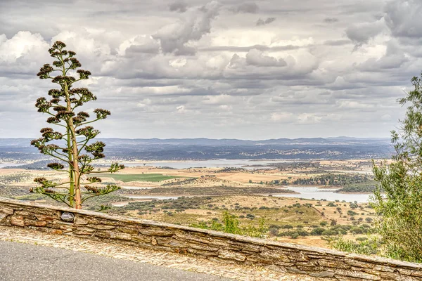 Countryside Alentejo Region Portugal —  Fotos de Stock