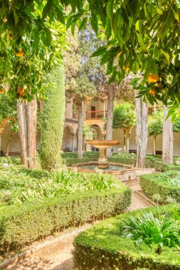 Granada, Spain - September 2020 : Alhambra gardens in sunny weather 