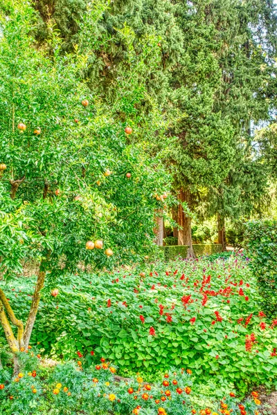 Granada Spain September 2020 Alhambra Gardens Sunny Weather — Stock Photo, Image