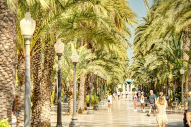 Alicante, Spain - August 2021 : Historical center in sunny weather
