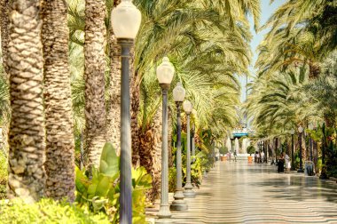 Alicante, Spain - August 2021 : Historical center in sunny weather