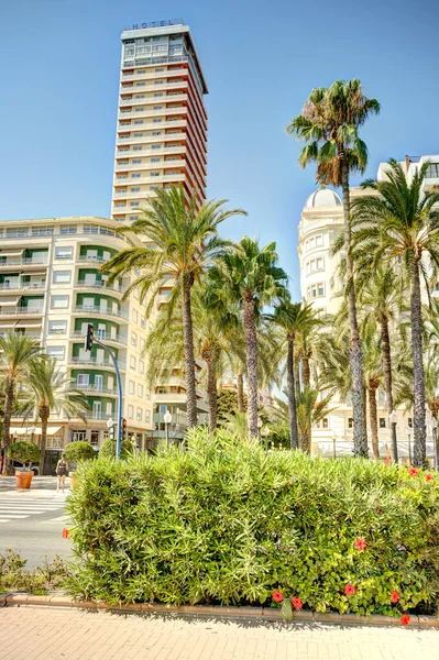 Alicante Spain August 2021 Historical Center Sunny Weather — Fotografia de Stock