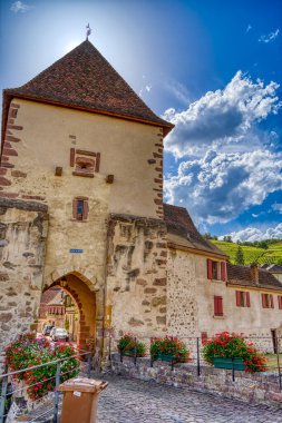             Colmar, France - June 2022 : Historical center in sunny weather                   