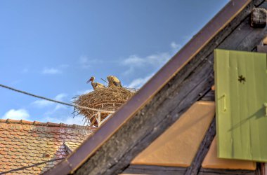           Turckheim, France - June 2022 : Picturesque village in sunny weather