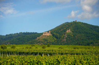           Turckheim, France - June 2022 : Picturesque village in sunny weather