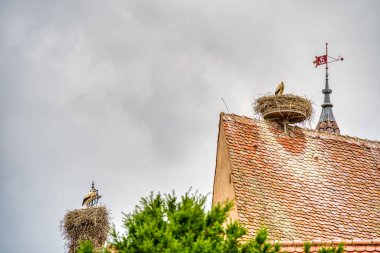 Eguisheim, France - June 2022 : Historical village in rainy weather         