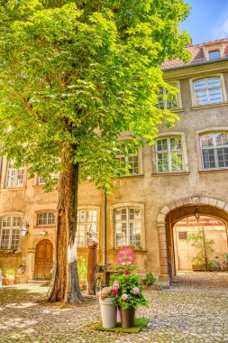                 Strasbourg, France - June 2022 : Historical center in sunny weather               