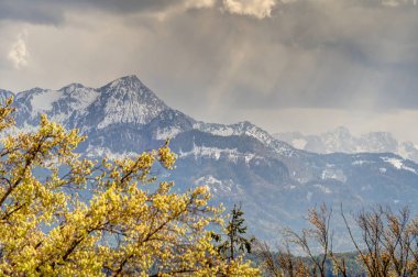 Worthersee Lake landscape, Austria