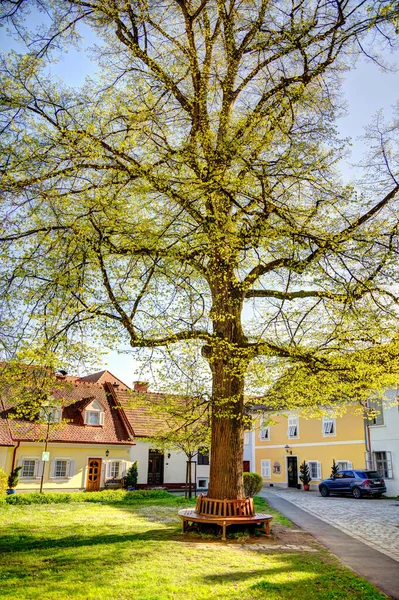 Bad Radkersburg Austria April 2022 Historical Center Sunny Weather — Photo