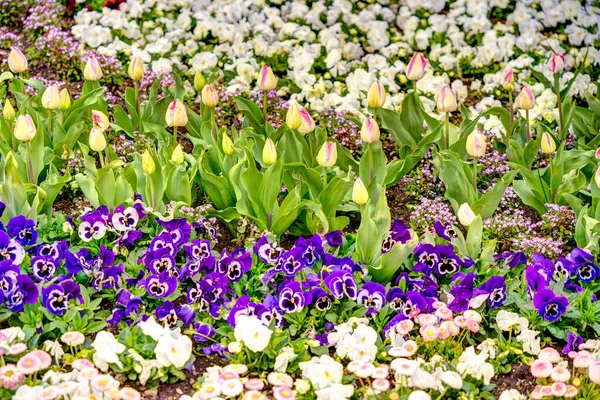 Graz Austria April 2022 Historical Center Springtime — Stock Photo, Image