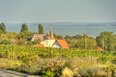 Badacsony, Hungary - October 2021 : Picturesque wineyards in autumn