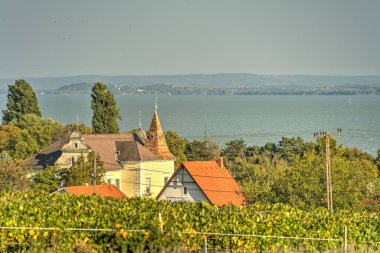 Badacsony, Hungary - October 2021 : Picturesque wineyards in autumn