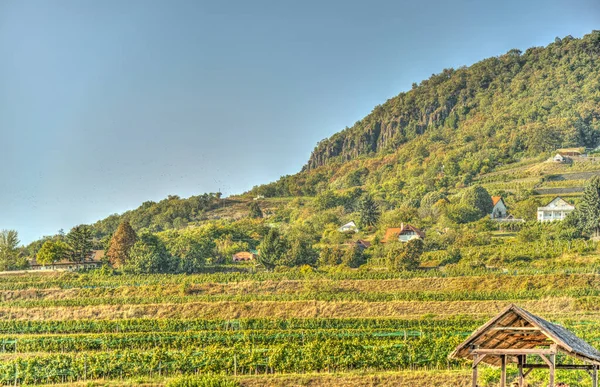 Badacsony Hungary October 2021 Picturesque Wineyards Autumn — Zdjęcie stockowe