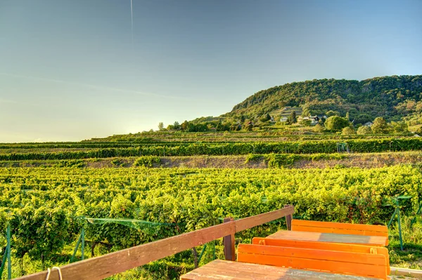 Badacsony Hungary October 2021 Picturesque Wineyards Осінню — стокове фото