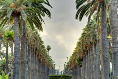 Casablanca, Morocco - November 2021 : Arab League Park and Cathedral in cloudy weather, HDR Image
