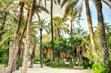 Elche, Spain - August 2021 : Historical center in summertime
