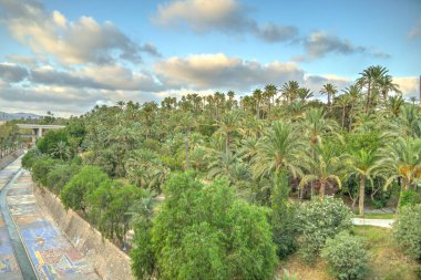 Elche, Spain - August 2021 : Historical center in summertime