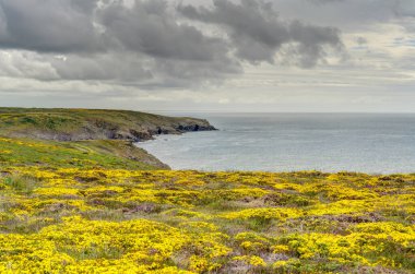 Baie des Trpasss, or the Bay of the Dead, France