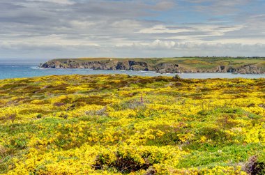 Baie des Trpasss, or the Bay of the Dead, France