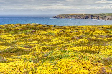 Baie des Trpasss, or the Bay of the Dead, France