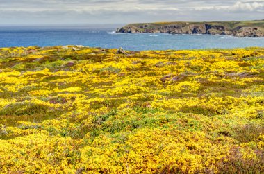 Baie des Trpasss, or the Bay of the Dead, France