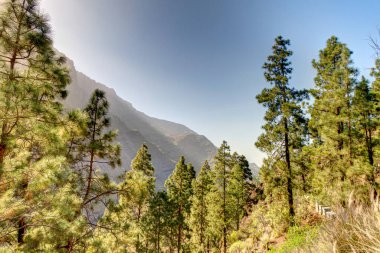 Agaete Ravine, Gran Canaria Island, Spain