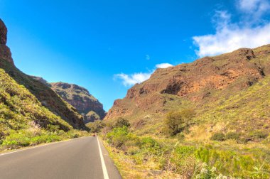 Agaete Ravine, Gran Canaria Island, Spain