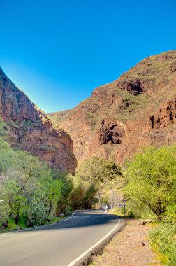 Agaete Ravine, Gran Canaria Island, Spain