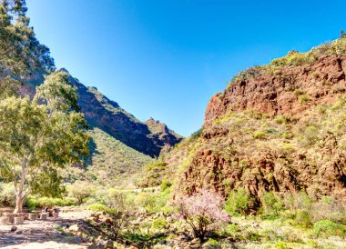 Agaete Ravine, Gran Canaria Island, Spain