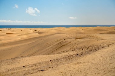 Dunes in Maspalomas, Grand Canary, Spain
