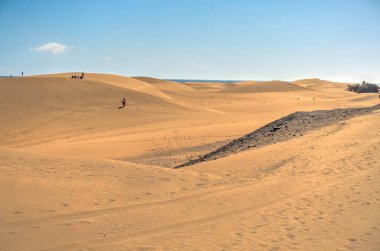 Dunes in Maspalomas, Grand Canary, Spain