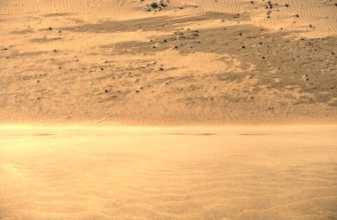 Dunes in Maspalomas, Grand Canary, Spain