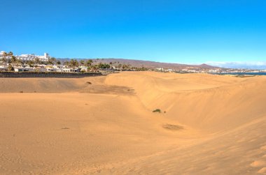 Dunes in Maspalomas, Grand Canary, Spain