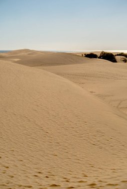 Dunes in Maspalomas, Grand Canary, Spain