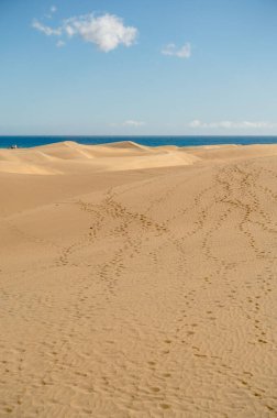 Dunes in Maspalomas, Grand Canary, Spain