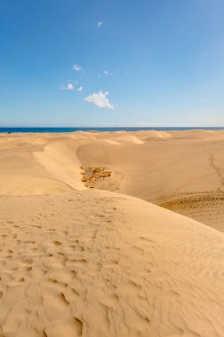 Dunes in Maspalomas, Grand Canary, Spain