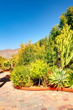 Tejeda, Spain - February 2020 : Picturesque Canarian village in sunny weather,