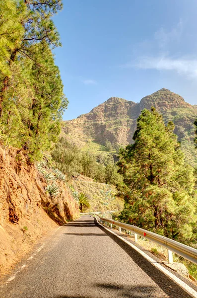 Agaete Ravine Gran Canaria Island Spain — ストック写真