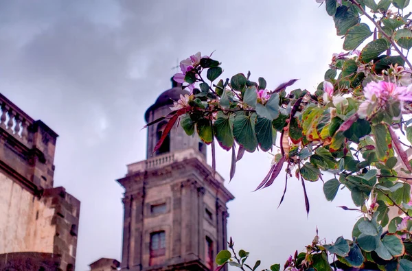 Teror Spain February 2020 Historical Center Rainy Weather — 图库照片