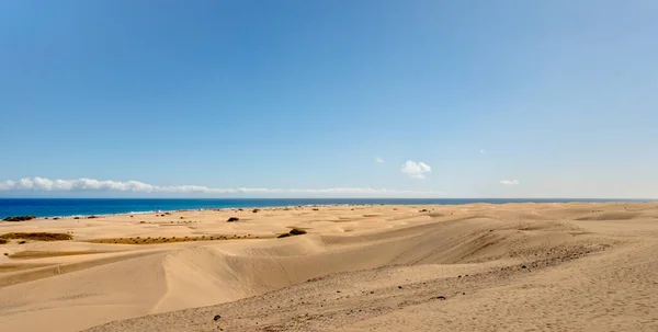 Dunes Maspalomas Grand Canary Spain — Stok fotoğraf