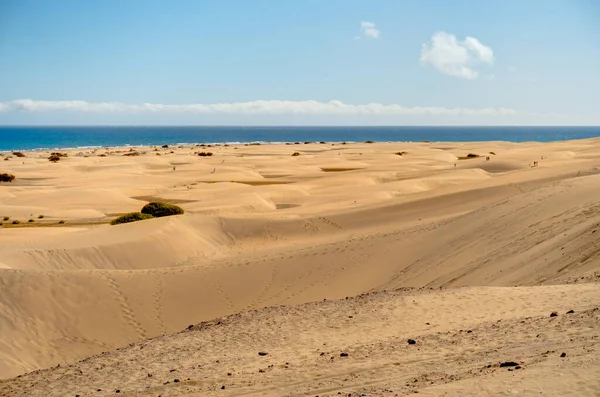 Dunes Maspalomas Grand Canary Spain — Zdjęcie stockowe