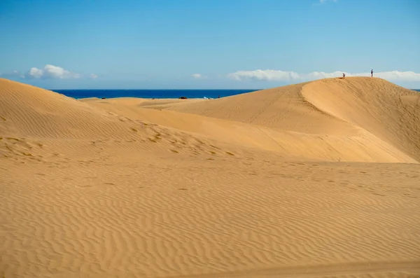 Дюны Maspalomas Grand Canary Spain — стоковое фото