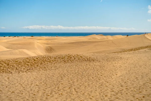 Дюни Маспаломі Велика Канарка Іспанія — стокове фото