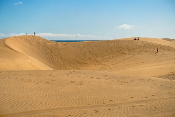 Dunes Maspalomas Grand Canary Spain — ストック写真