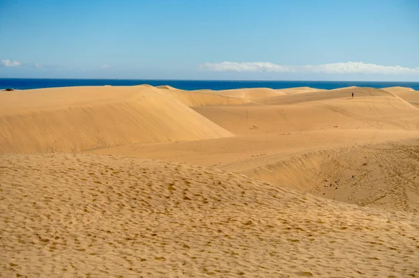 Dunes Maspalomas Grand Canary Spain — 图库照片