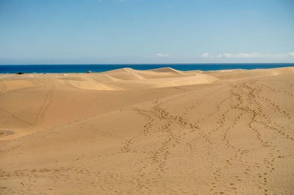 Dunes Maspalomas Grand Canary Spain — Stock fotografie