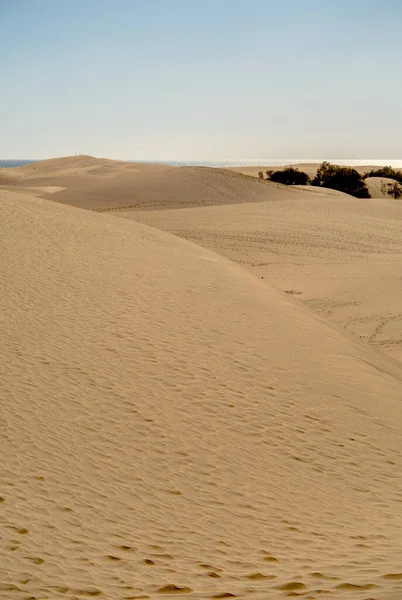 Дюны Maspalomas Grand Canary Spain — стоковое фото